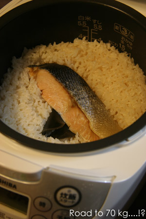 鮭ごはん