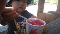 アクティ森のかき氷 2011/07/17 10:53:44