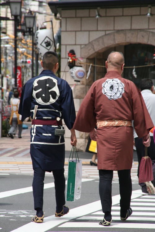 三社祭で見つけた粋な着こなし L 絶対負けない 菊一輪