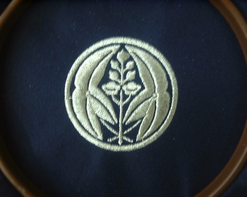 抱沢潟