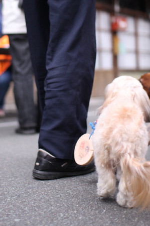 みさくぼ夢街道　2010