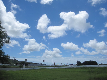 川遊び（二俣川）
