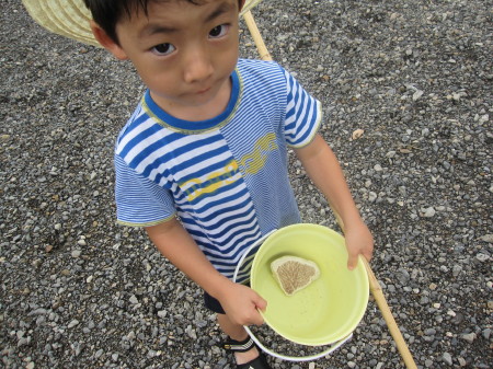 川遊び（二俣川）
