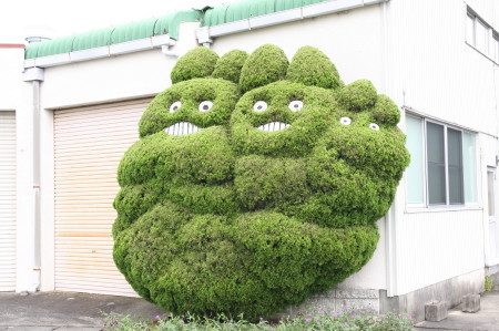 トトロ！！