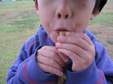 浜名湖アートクラフトフェア　2010