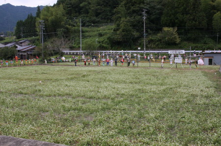 かかし100体　＠佐久間町浦川