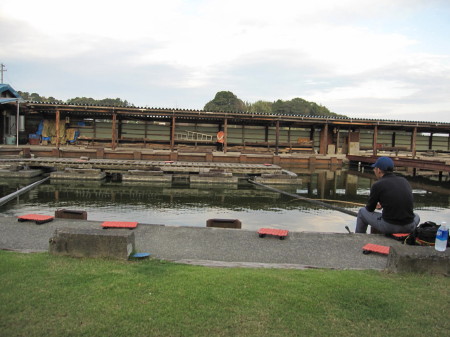 鯉の釣り堀　＠掛川