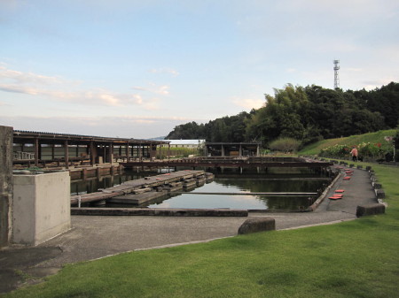 鯉の釣り堀　＠掛川