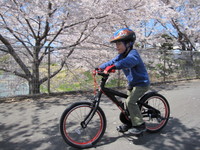 新車購入！