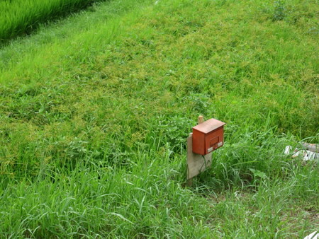 夏休み初日ポタ