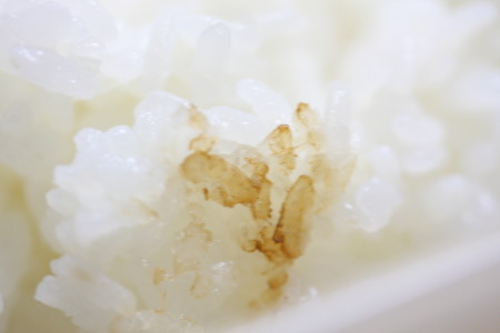 万古焼のごはん鍋