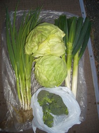 お土産 2012/03/27 18:19:20