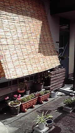 夏の模様替え