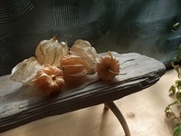 お部屋について・・・。 2012/05/16 08:17:18