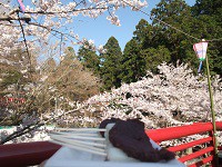 事任八幡宮でのイベント