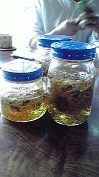 草木花の教室