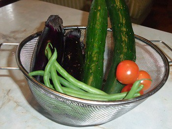 旬の野菜