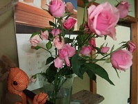 お花
