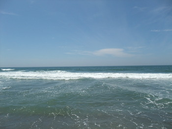 海