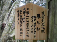 春になったで