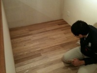 ☆楽しんで  2010/04/25 12:39:30