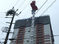 Ds Tower