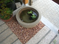 ☆甦る石臼
