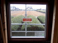☆茶畑Cafe 2010/03/09 11:52:28