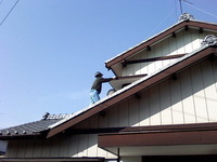 ☆「大屋根の家」 2010/03/12 10:05:08