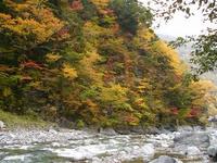 黄金色② 2006/10/23 15:20:57