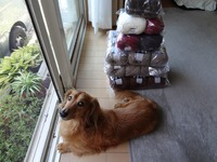 毛糸の山！とピース