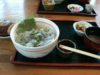 生シラス丼♪ 2009/11/29 13:29:56