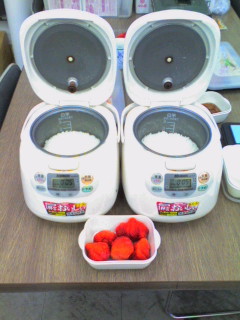 ひとめぼれvsささにしき
