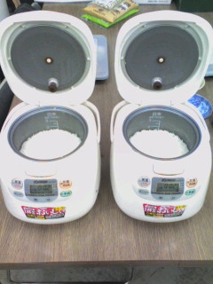 サンプルＡvsこりゃあう米