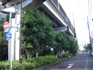 上棟式