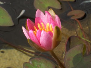 米研の皆様へ