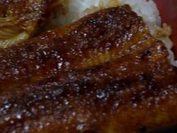 土用の丑