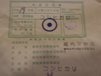 一等米入荷森町こしひかり