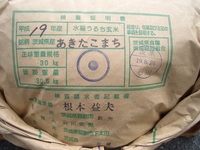 一等米入荷茨城あきたこまち 2007/09/01 08:00:11