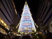 夜のウォーキング