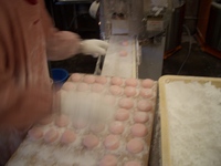 住宅会社イベント用投げ餅 2008/02/11 20:36:33
