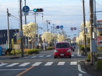 もくれん