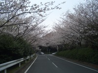 佐鳴湖 2008/03/30 22:34:01