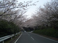 佐鳴湖
