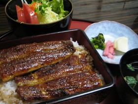 うなぎ日和