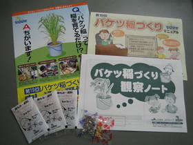 バケツ稲づくりセット