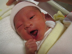 ちびちゃん誕生