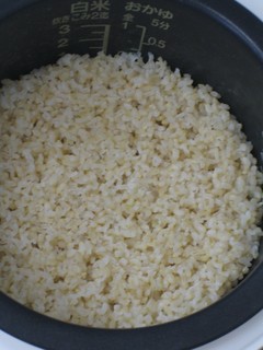 石川カルゲンこし玄米１分搗き