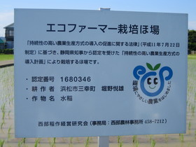 浜松三幸町の堀野さんの作ったヒノヒカリ