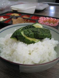 きゅうりの浅漬けごはん